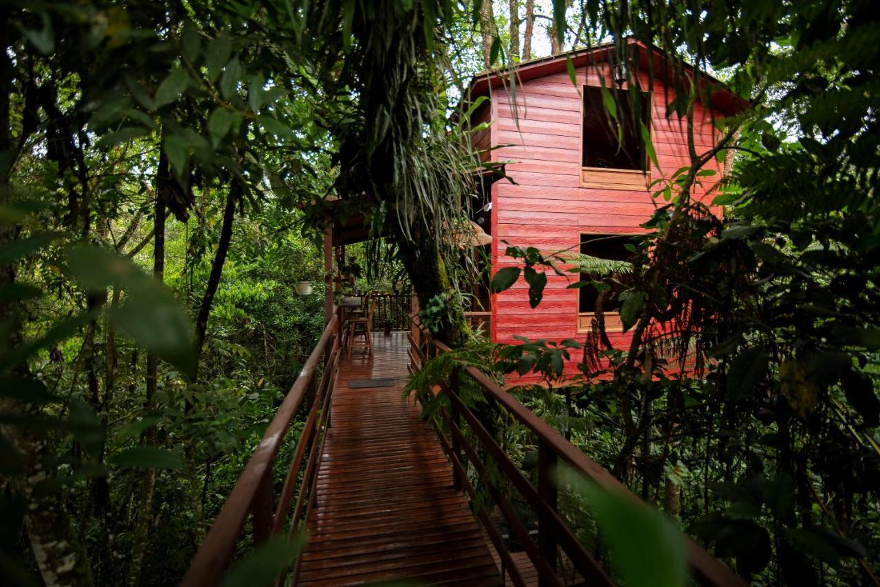Tominejo Ecolodge - Casas En Los Arboles Neira Luaran gambar
