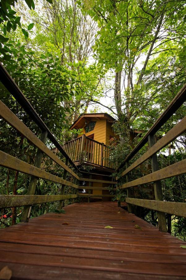 Tominejo Ecolodge - Casas En Los Arboles Neira Luaran gambar