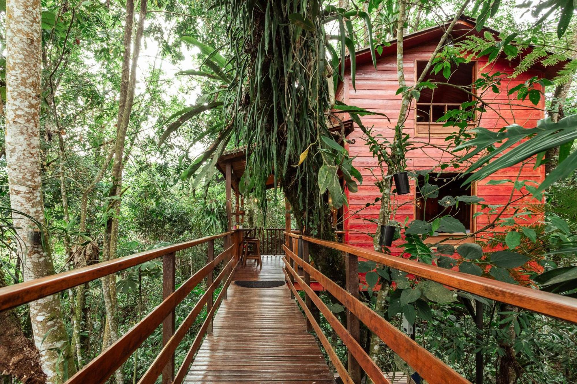 Tominejo Ecolodge - Casas En Los Arboles Neira Luaran gambar