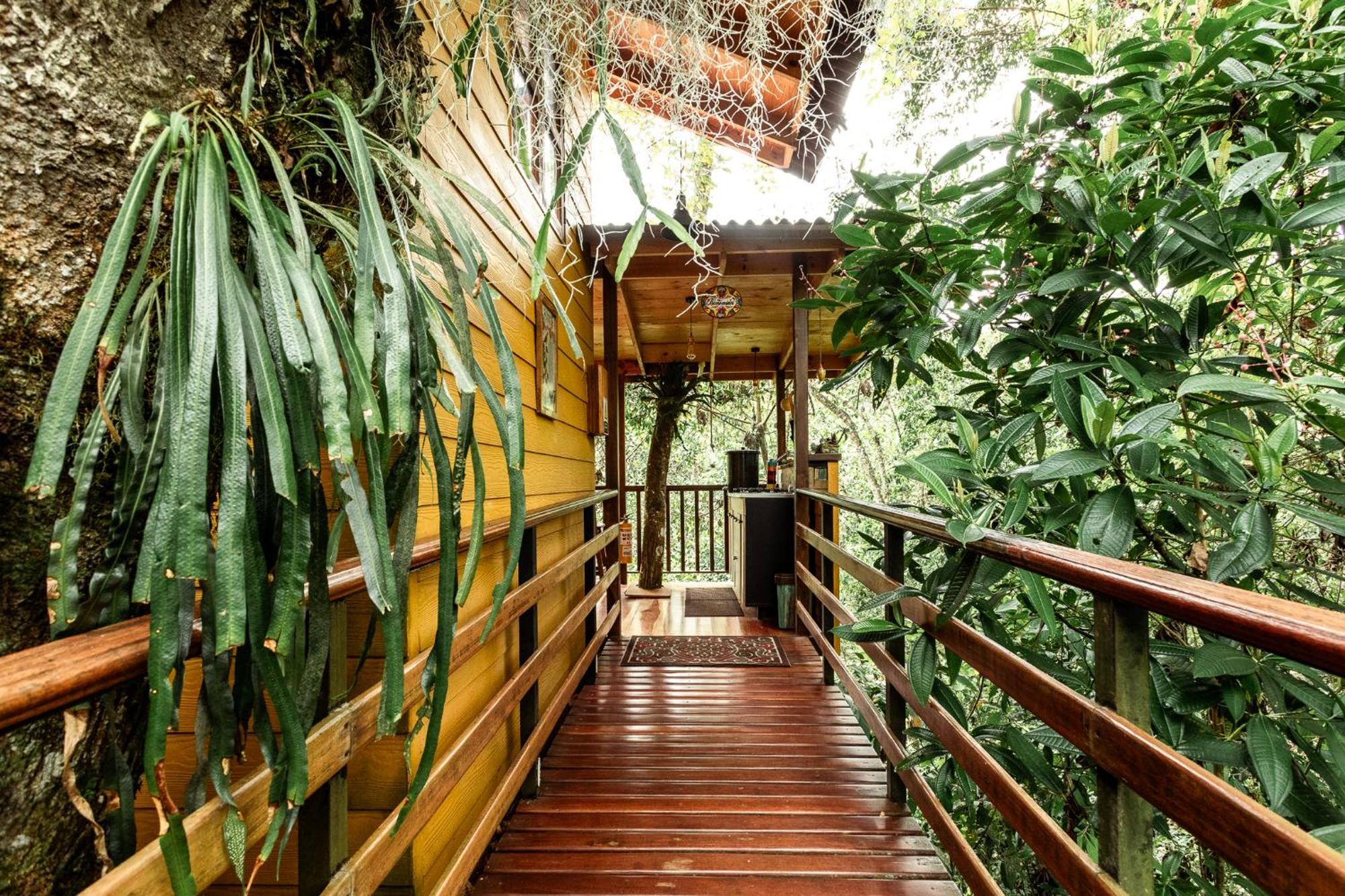 Tominejo Ecolodge - Casas En Los Arboles Neira Luaran gambar