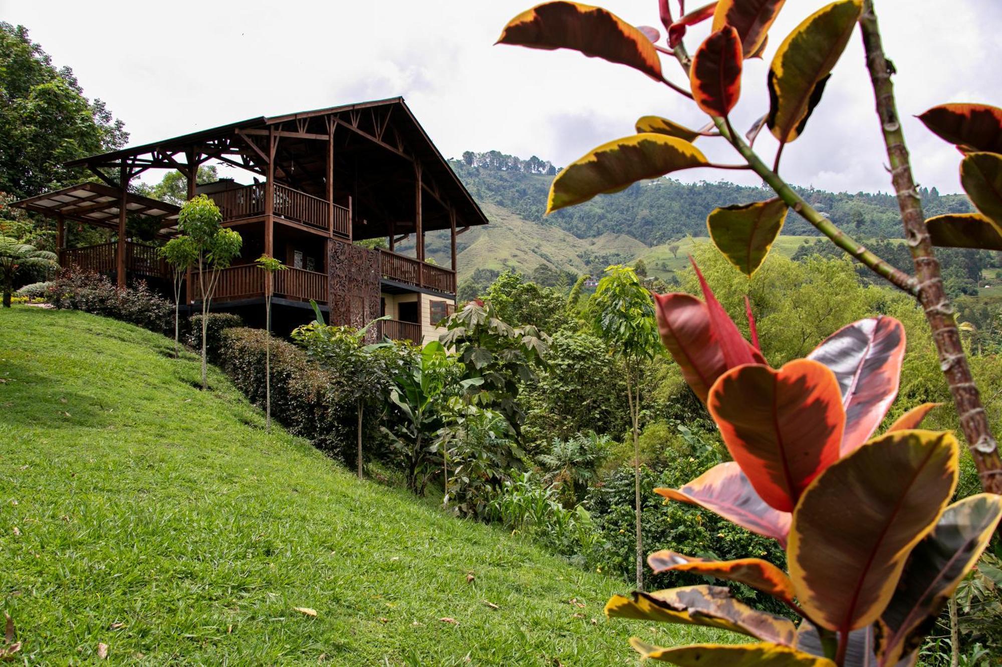 Tominejo Ecolodge - Casas En Los Arboles Neira Luaran gambar